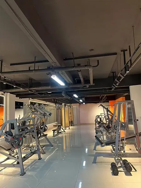 Commercial Gym